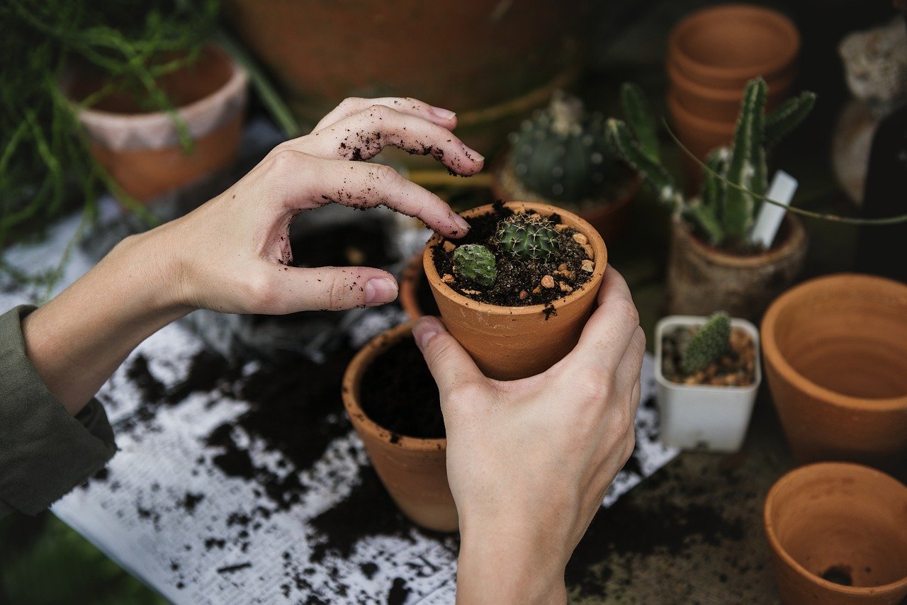 Get Started Gardening: 10 Easy Tips for Every Beginner