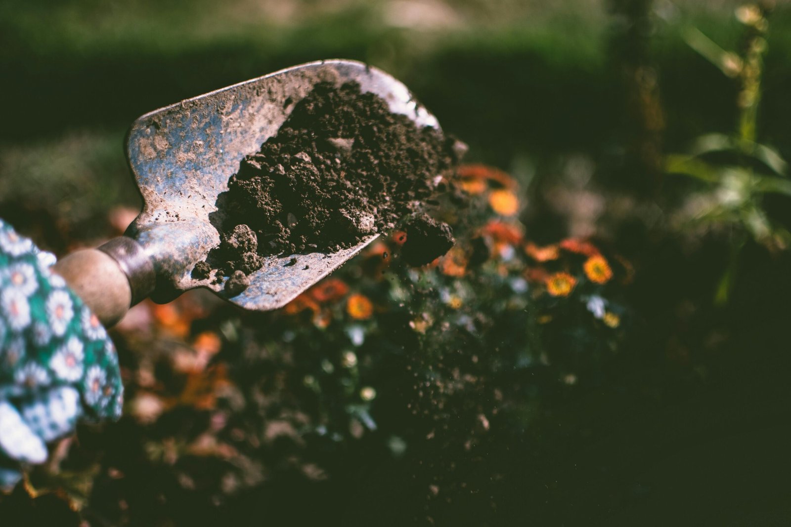 How to Start Container Gardening: A Simple Guide